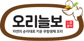 오리늘보