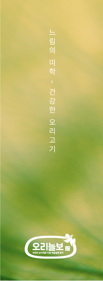 오리늘보