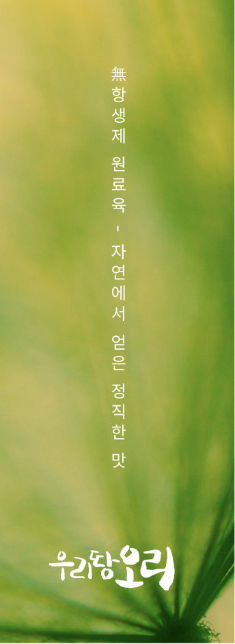 우리땅오리